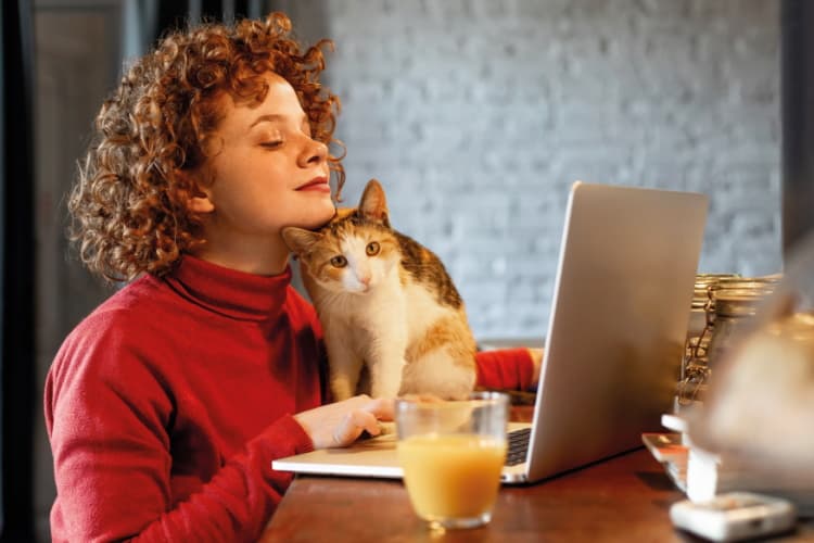 Junge Frau arbeitet an ihrem Laptop und schmust dabei mit ihrer Katze