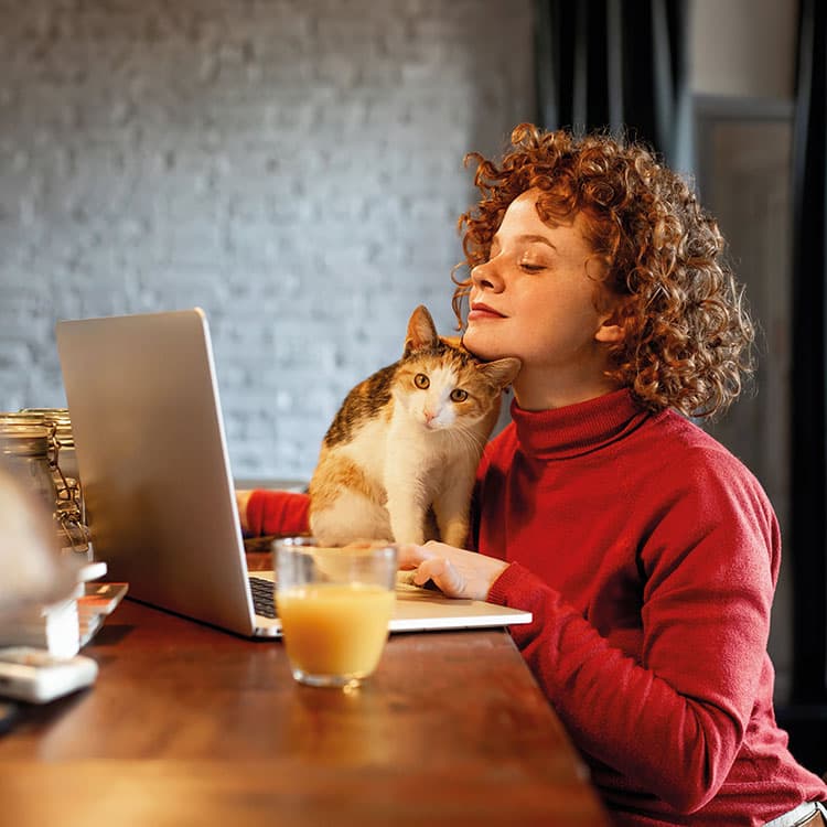 Junge Frau arbeitet an ihrem Laptop und schmust dabei mit ihrer Katze