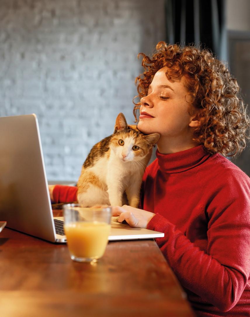 Junge Frau arbeitet an ihrem Laptop und schmust dabei mit ihrer Katze