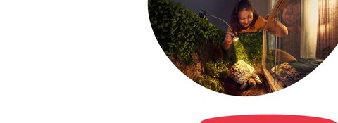 Mit leistungsstarken PV-Modulen und ausgefeilten Stromspeichern werden Sie unabhängiger Energieerzeuger.